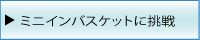 ミニインバスケット問題に挑戦